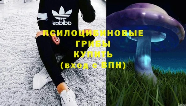 эйфоретик Володарск