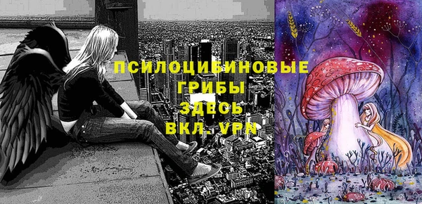 бутират Бородино