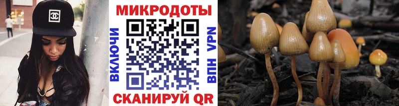 Псилоцибиновые грибы прущие грибы Заводоуковск